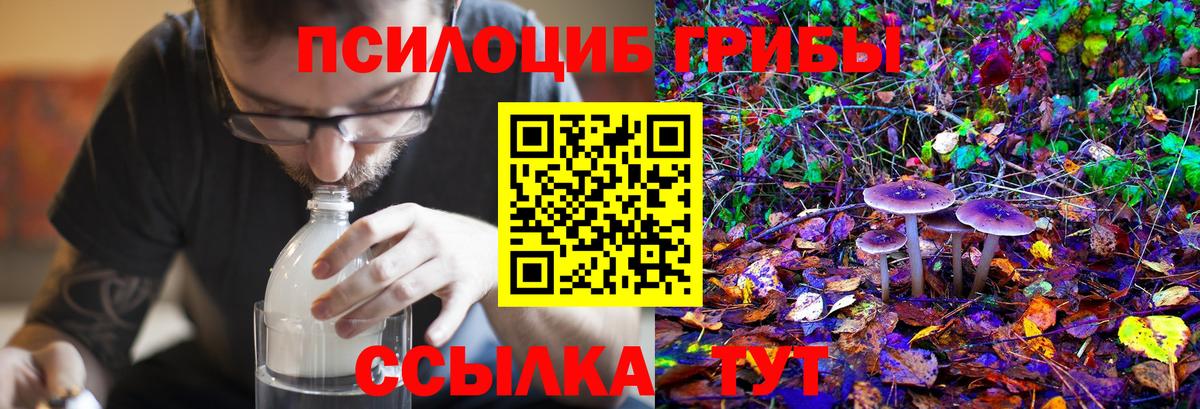 Псилоцибиновые грибы ЛСД Лесозаводск
